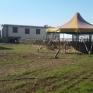 animali circo