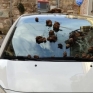 Benevento