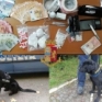 Cani antidroga