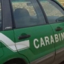 carabinieri-forestali