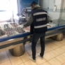 Controlli Guardia Costiera