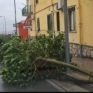 Sarno