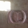 Libro di luce