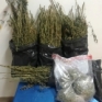 Sequestro Polizia Pianura