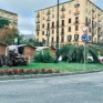 Napoli piazza degli Artisti le due palme uccise dal punteruolo rosso