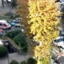 Napoli piazza Medaglie d’Oro ambulanza a sirene spiegate bloccata nel traffico
