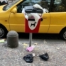 Napoli via Morghen contenitore per deiezioni canine pieno