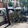 Napoli via Tino di Camaino albero vandalizzato1