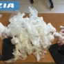 Sequestro Polizia