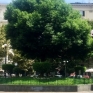 Vomero piazza Vanvitelli-