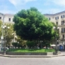 Vomero piazza Vanvitelli sovente teatro di risse e scontri tra minorenni