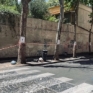 Vomero via Cimarosa platani da potare