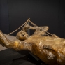 mostra_essere_donna_nell_antica_pompei_2.jpg