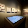museo_archeologico_di_stabia_sala_dedicata_all_ager_stabianus.jpg