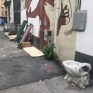 napoli_casa_deella_socialit_rifiuti.jpg