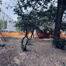 napoli_parco_mascagna2_19_01_2025.jpg