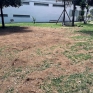 napoli_parco_mascagna_aiuola_brulla1.jpg