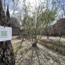 orto_botanico_di_pompei_4.jpg