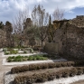 orto_botanico_di_pompei_5.jpg