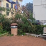 palazzineviamartiridungheriascafati_1.jpg