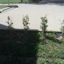 parco_pozzi_degrado_12.jpg