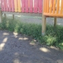 parco_pozzi_degrado_13.jpg