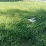parco_pozzi_degrado_19.jpg