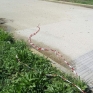 parco_pozzi_degrado_20.jpg