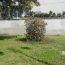 parco_pozzi_degrado_3.jpg