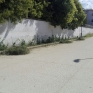 parco_pozzi_degrado_4.jpg