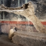 peristilio_frigidarium_regio_ix_4.jpg