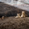 peristilio_frigidarium_regio_ix_7.jpg