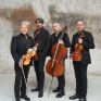 solis_string_quartet.jpg