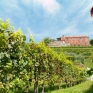 tenuta_camaldoli_large.jpeg