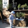 un_parco_per_bambini.jpg