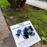 viale_john_lennon_e_george_harrison_napoli_6.jpg