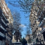vomero_isola_pedonale_di_via_scarlatti_luminarie.jpg