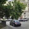 vomero_piazza_vanvitelli_ramo_pendente_sulla_carreggiata.jpg