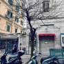 vomero_via_cimarosa_uno_dei_tanti_alberi_morti.jpg